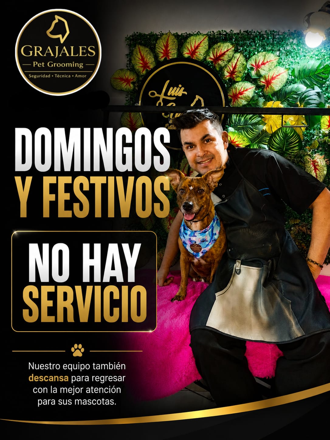 Servicio